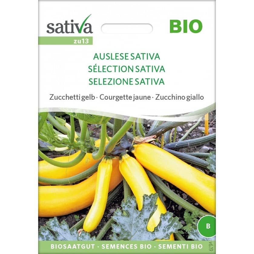 Saatgut Zucchini Auslese Sativa
