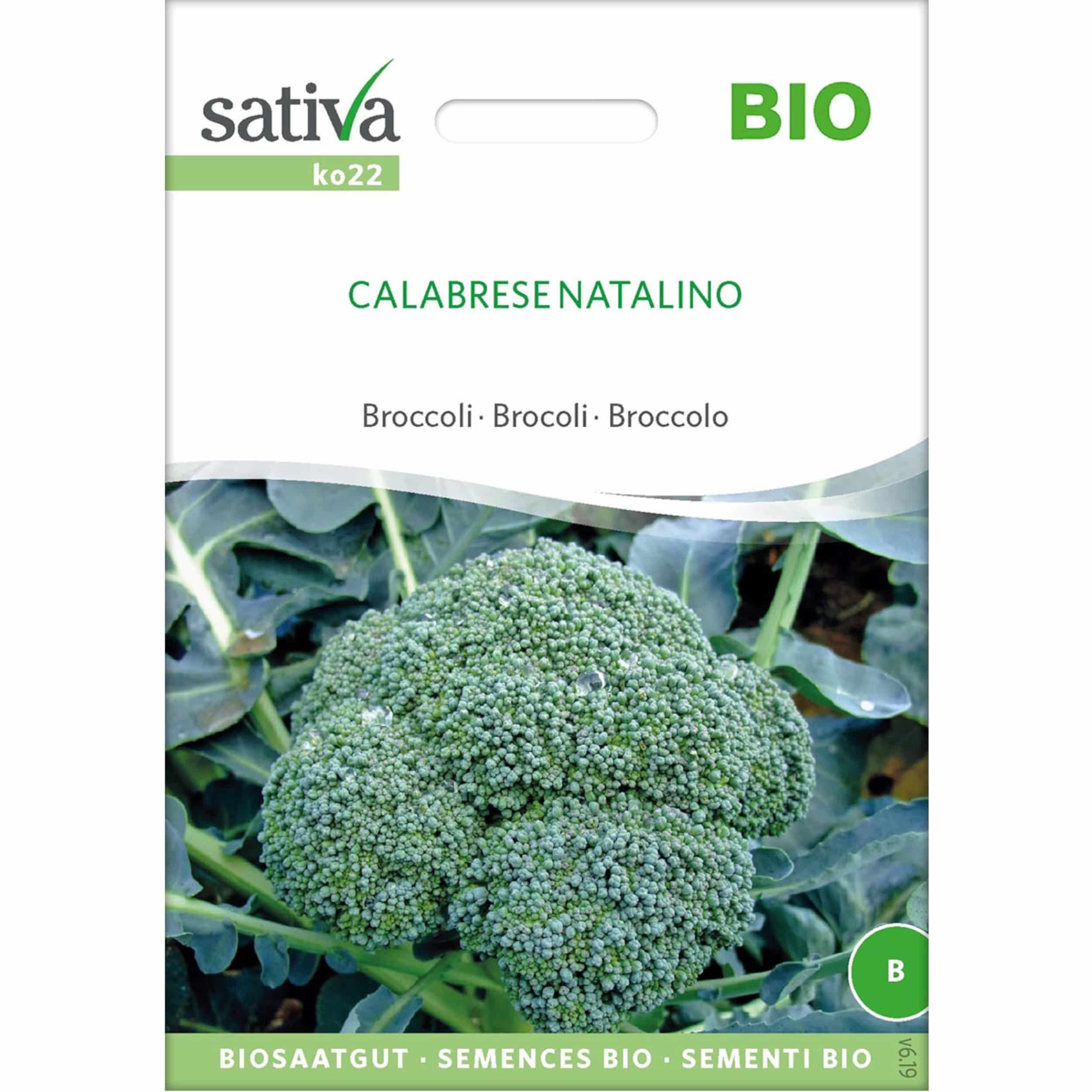 Saatgut Broccoli CALABRESE NATALINO