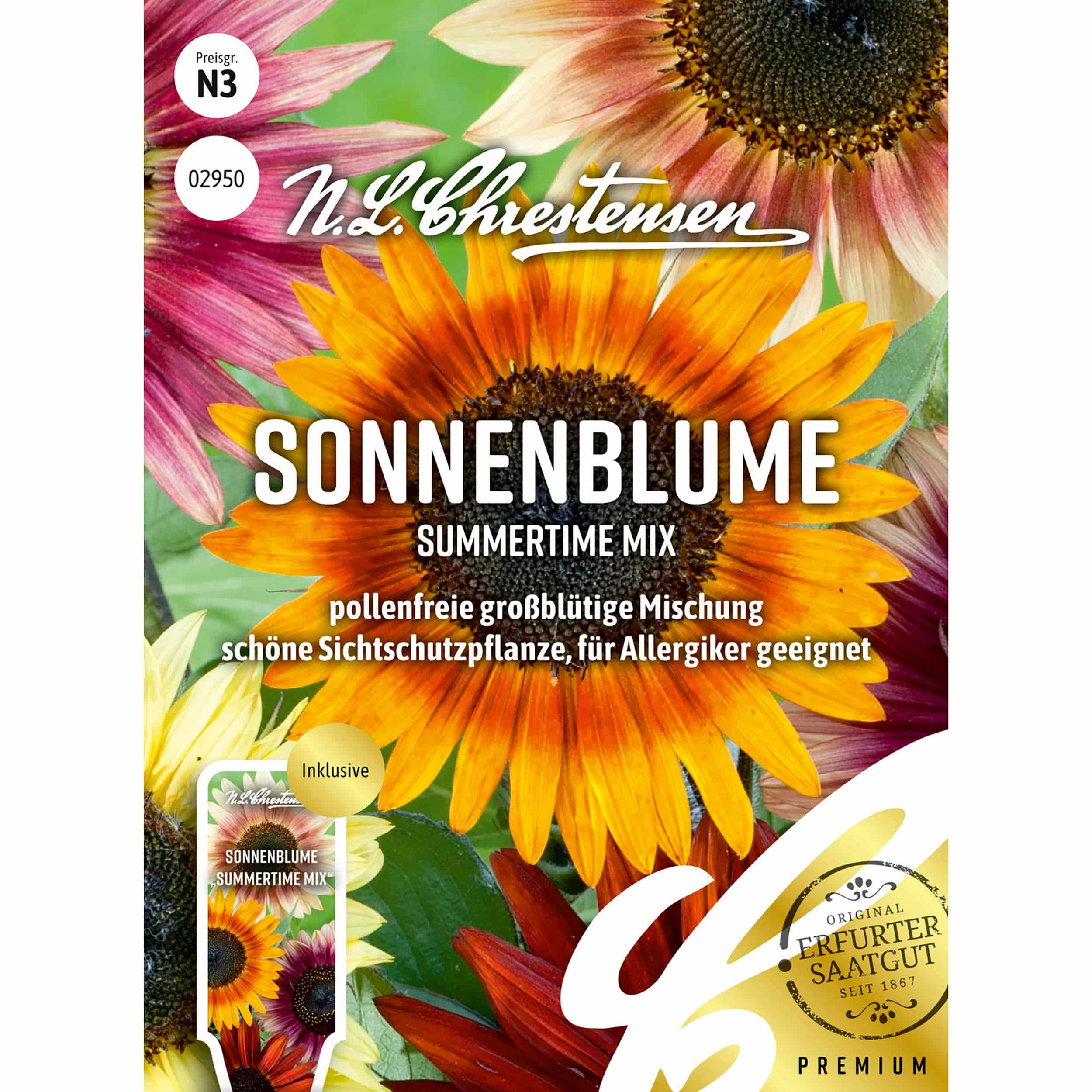 Sonnenblume Summertime Mix