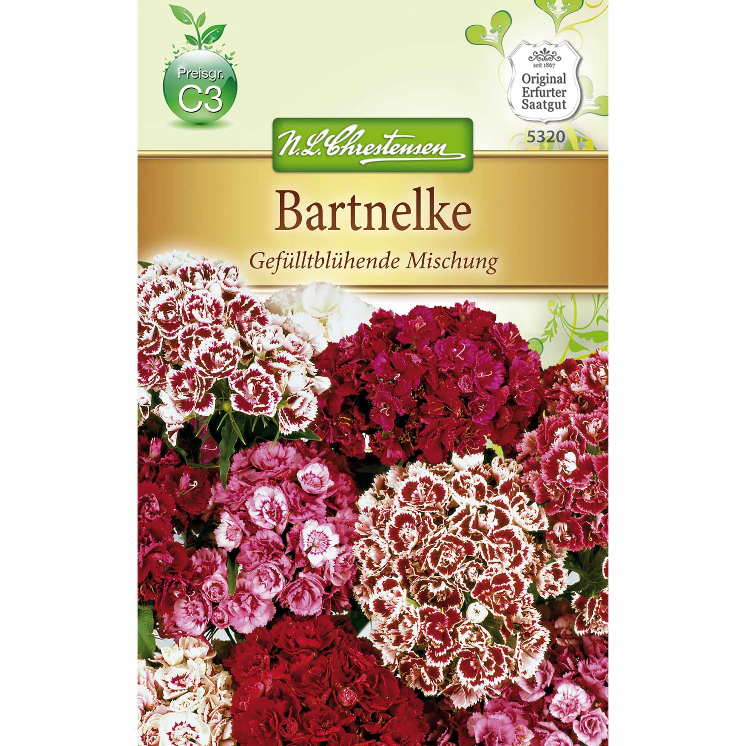 Dianthus barbatus Bartnelken, gefülltblühende Mischung