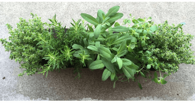 balkon-mit-kraeutern-bepflanzt