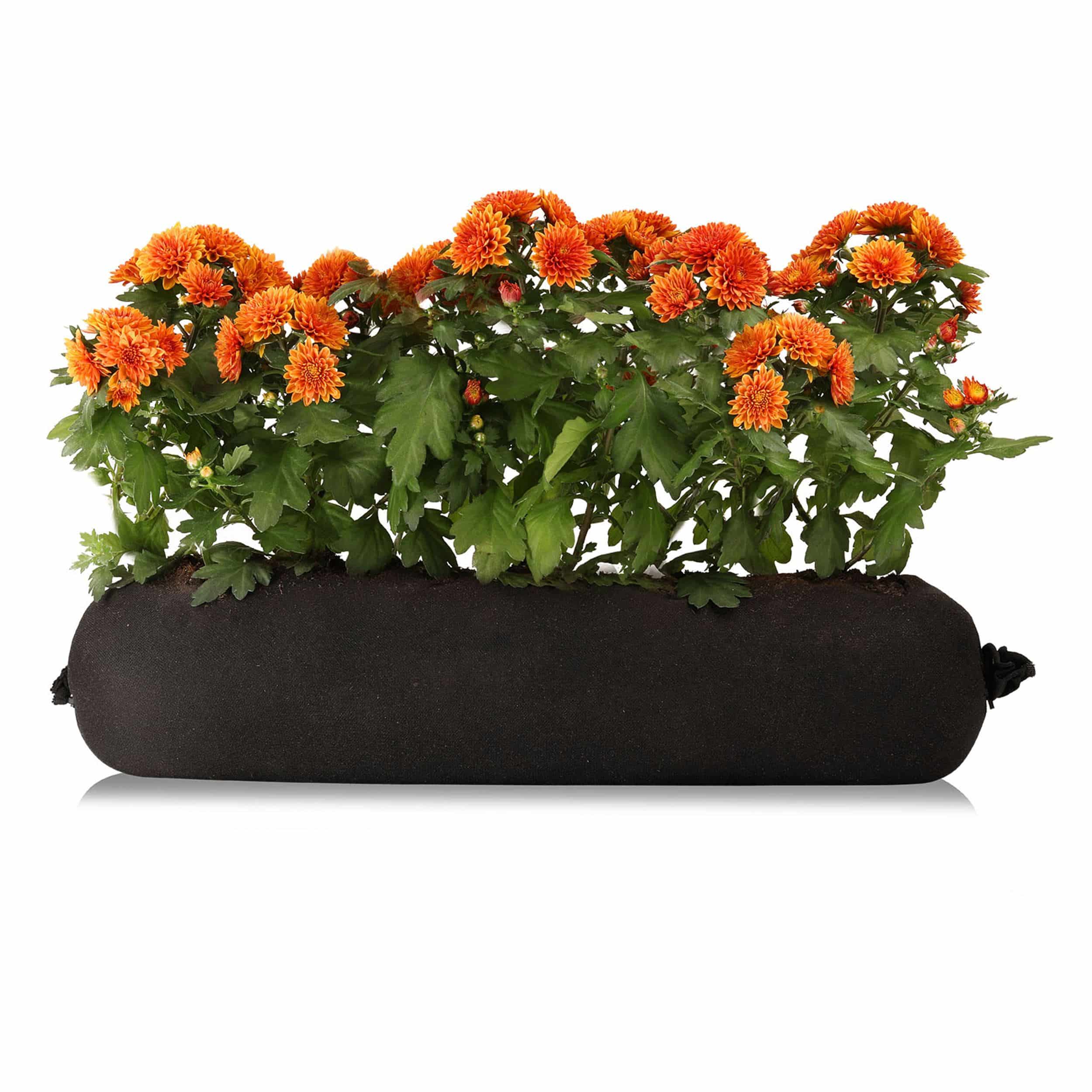Chrysanthemen-Bag 70 cm rot/orange/gelb Sonne