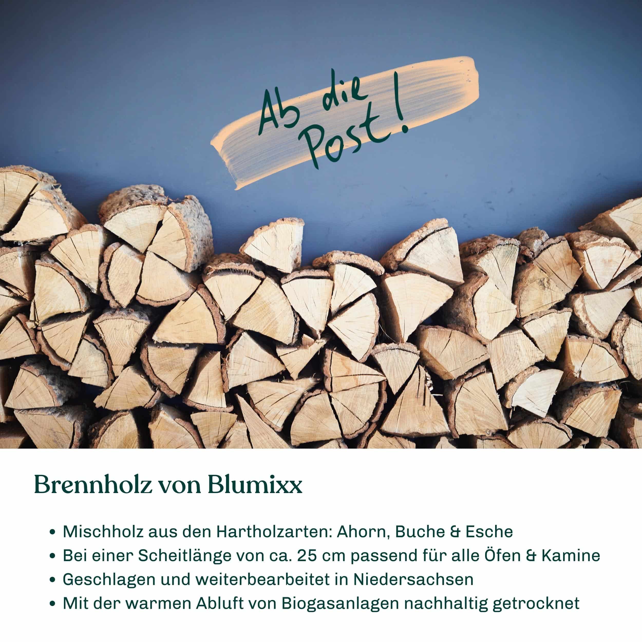 Blumixx Brennholz 20 KG
