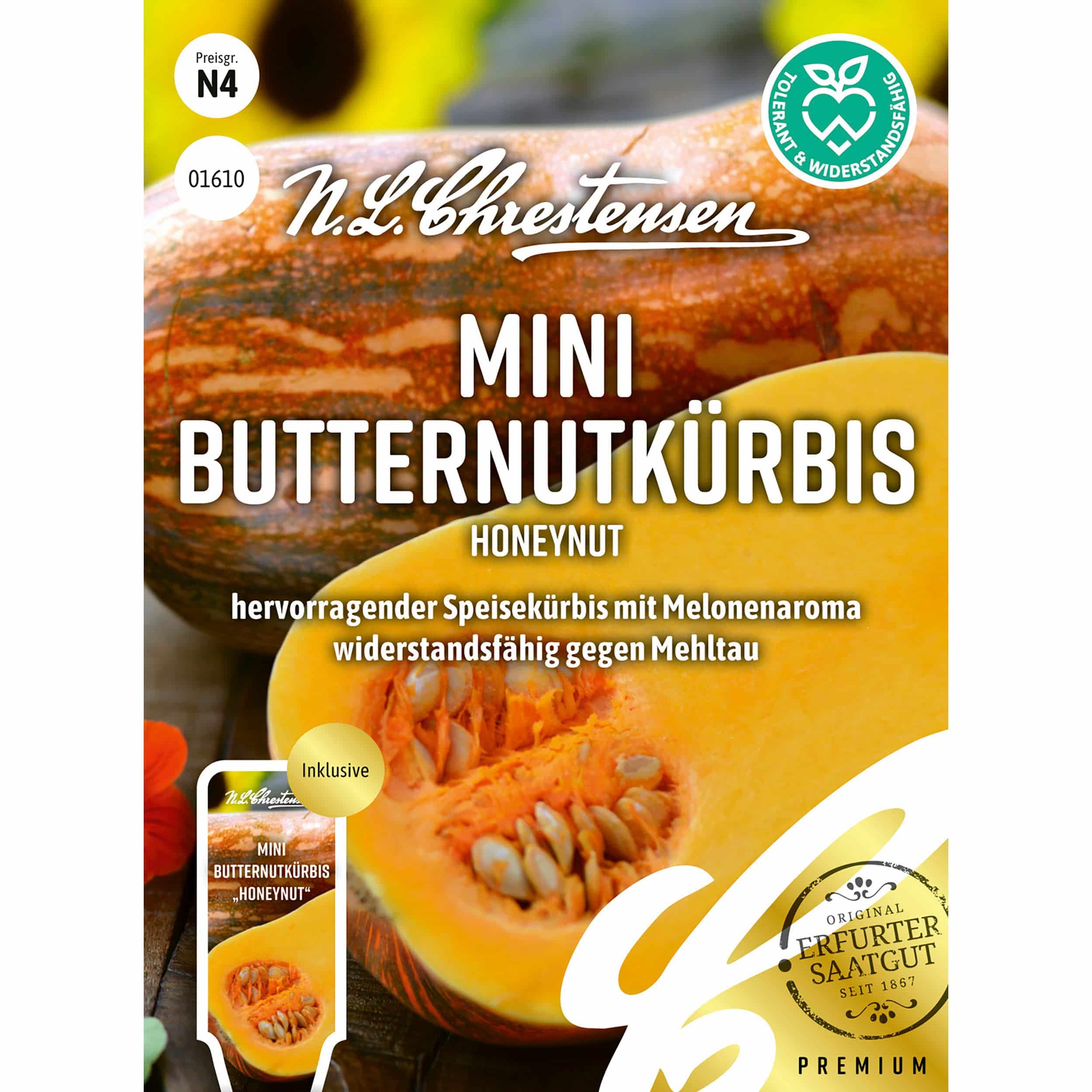Mini 
Butternutkürbis Honeynut