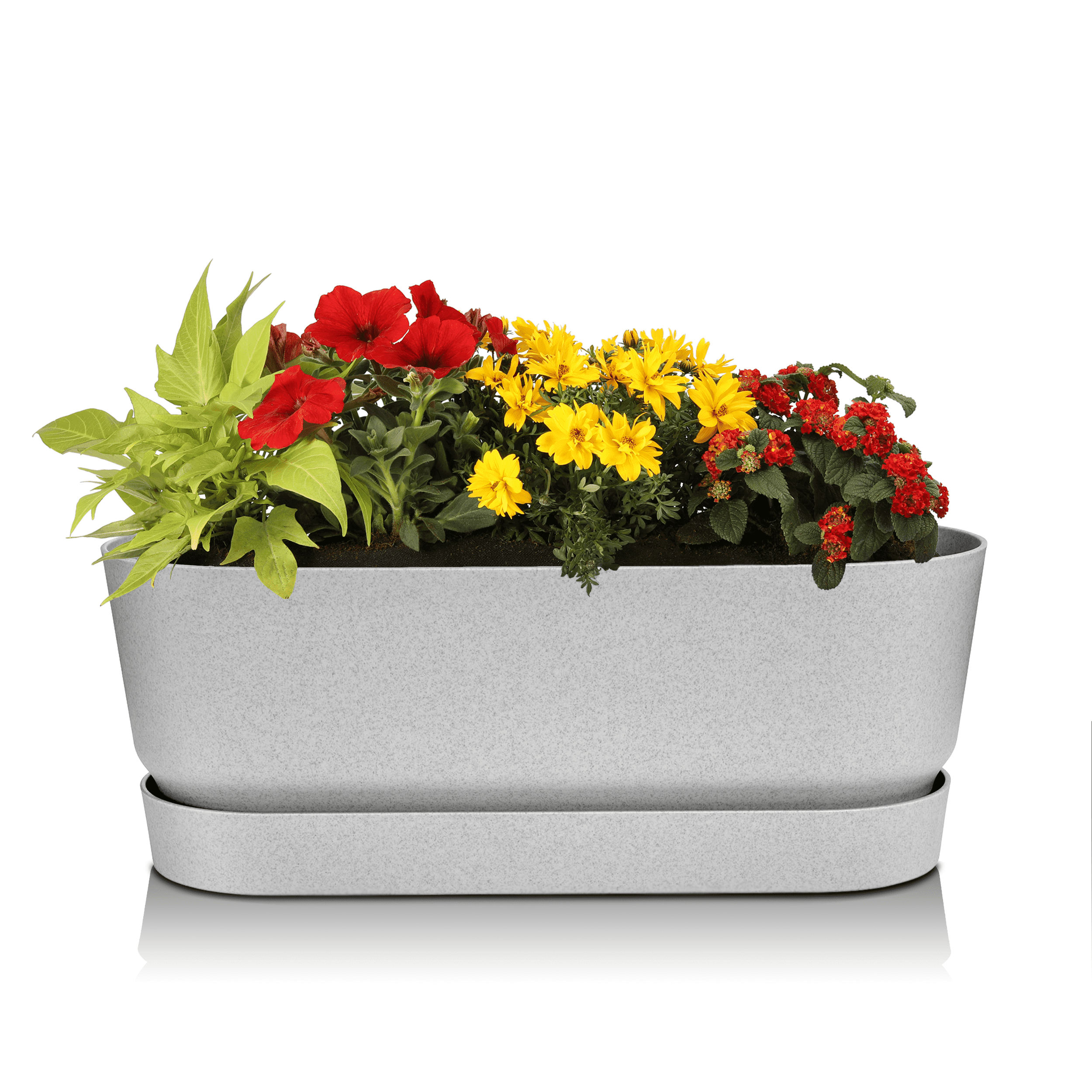 Sommerblumen Starter-Set Greenville grau 50 cm rot/orange/gelb Halbschatten