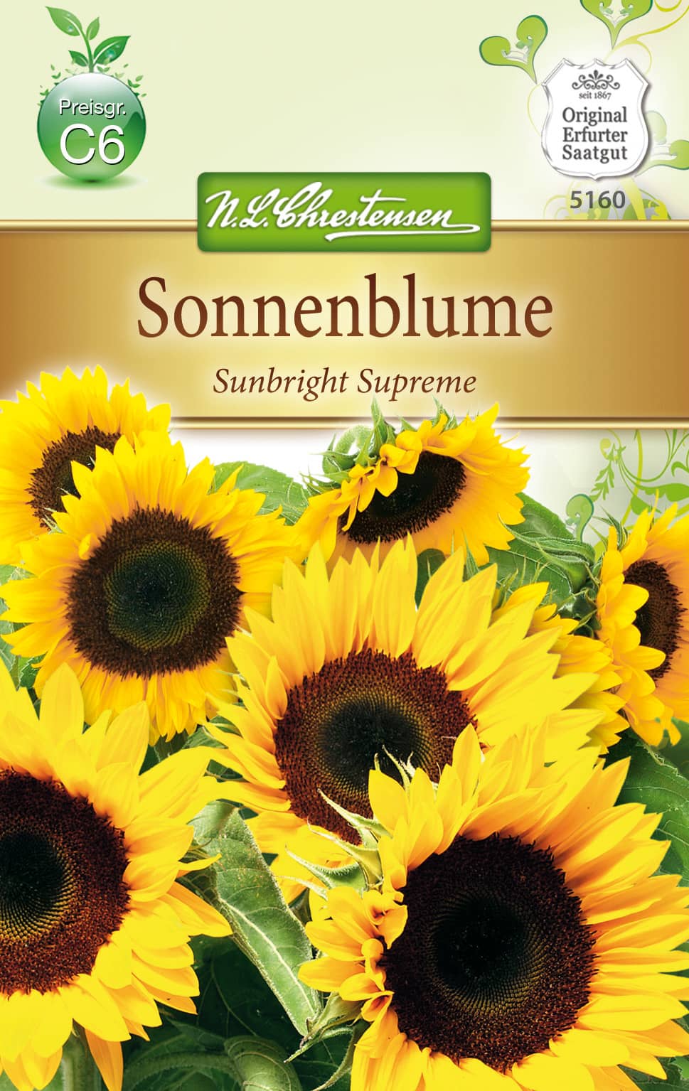 Helianthus Sonnenblume, Sunbright Supreme, für Schnitt