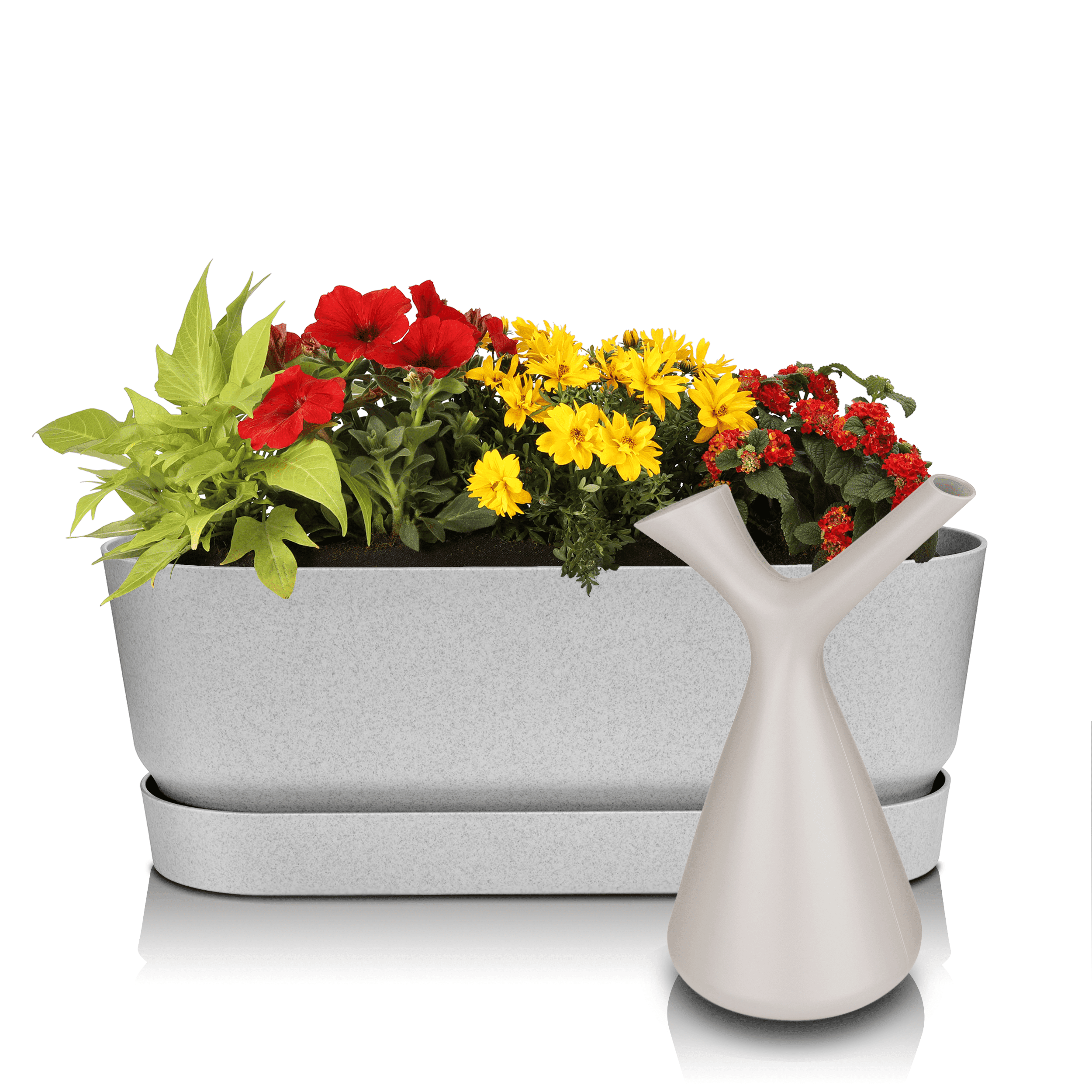 Sommerblumen Geschenk-Set Greenville grau 50 cm Überraschung Halbschatten