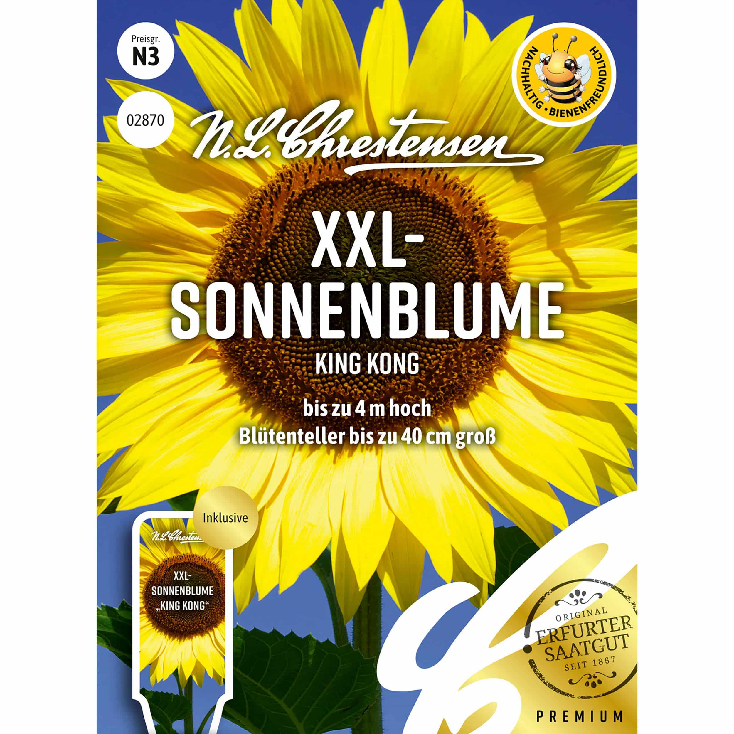 XXL- 
Sonnenblume King Kong