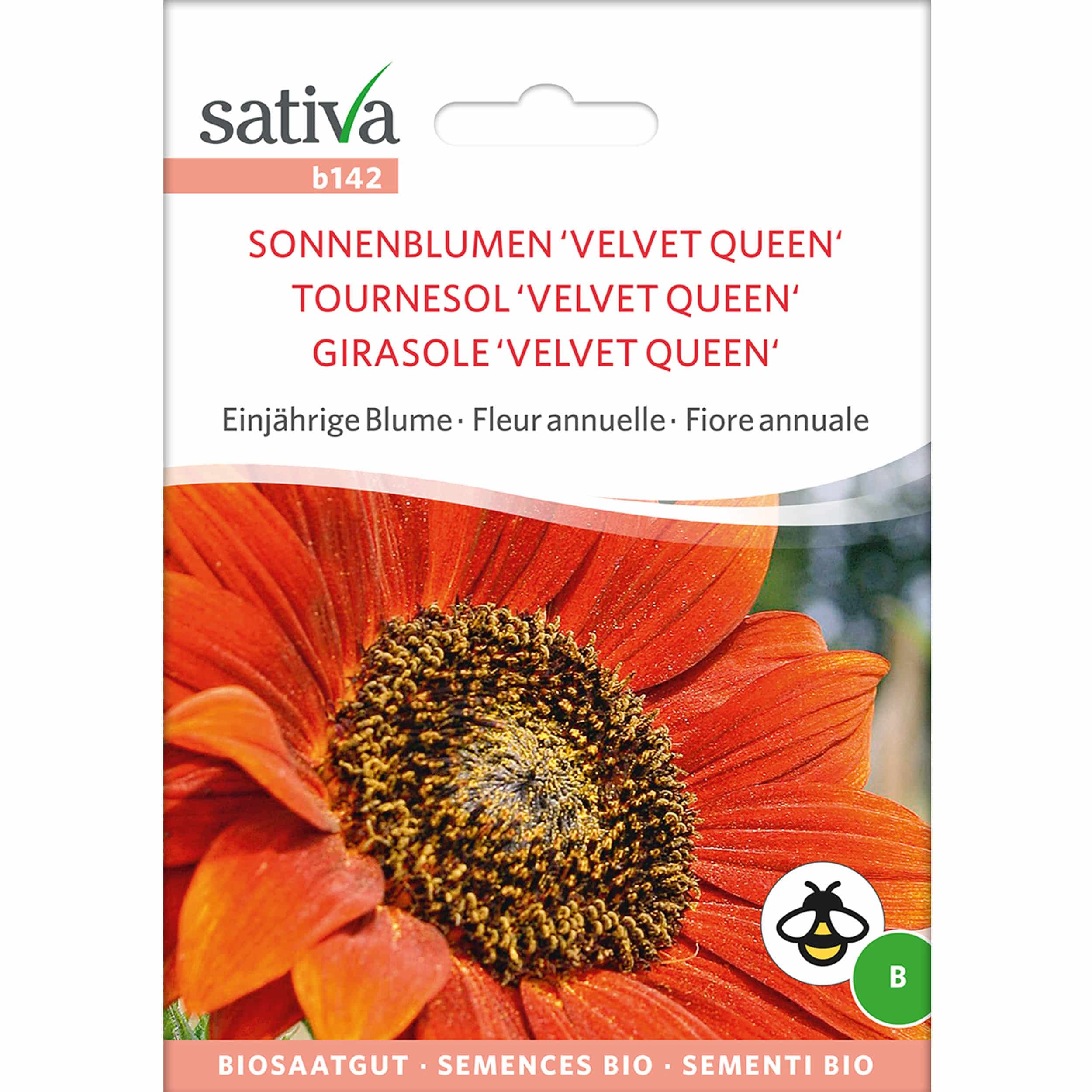 Saatgut Sonnenblume 'Velvet Queen'