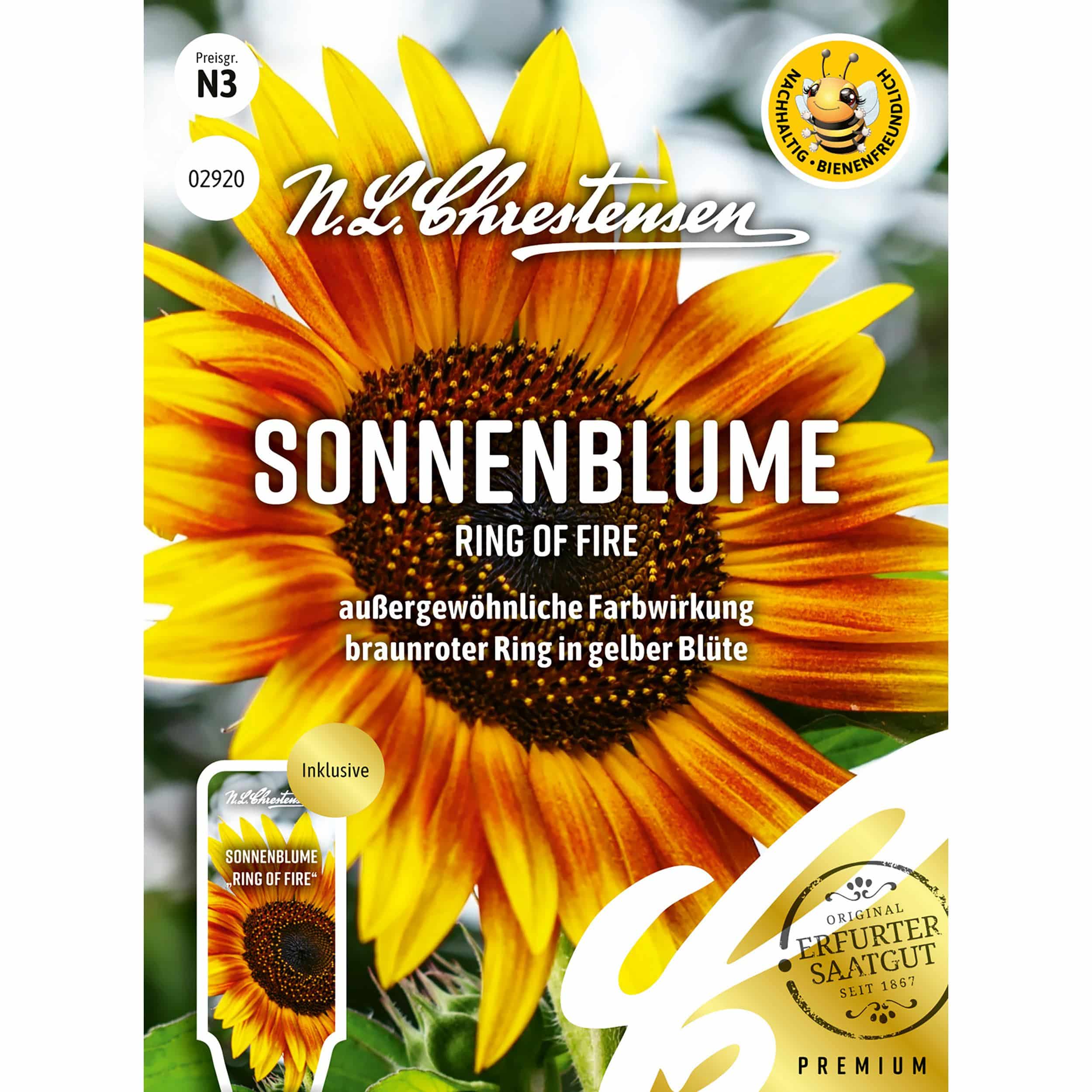 Sonnenblume Ring of Fire