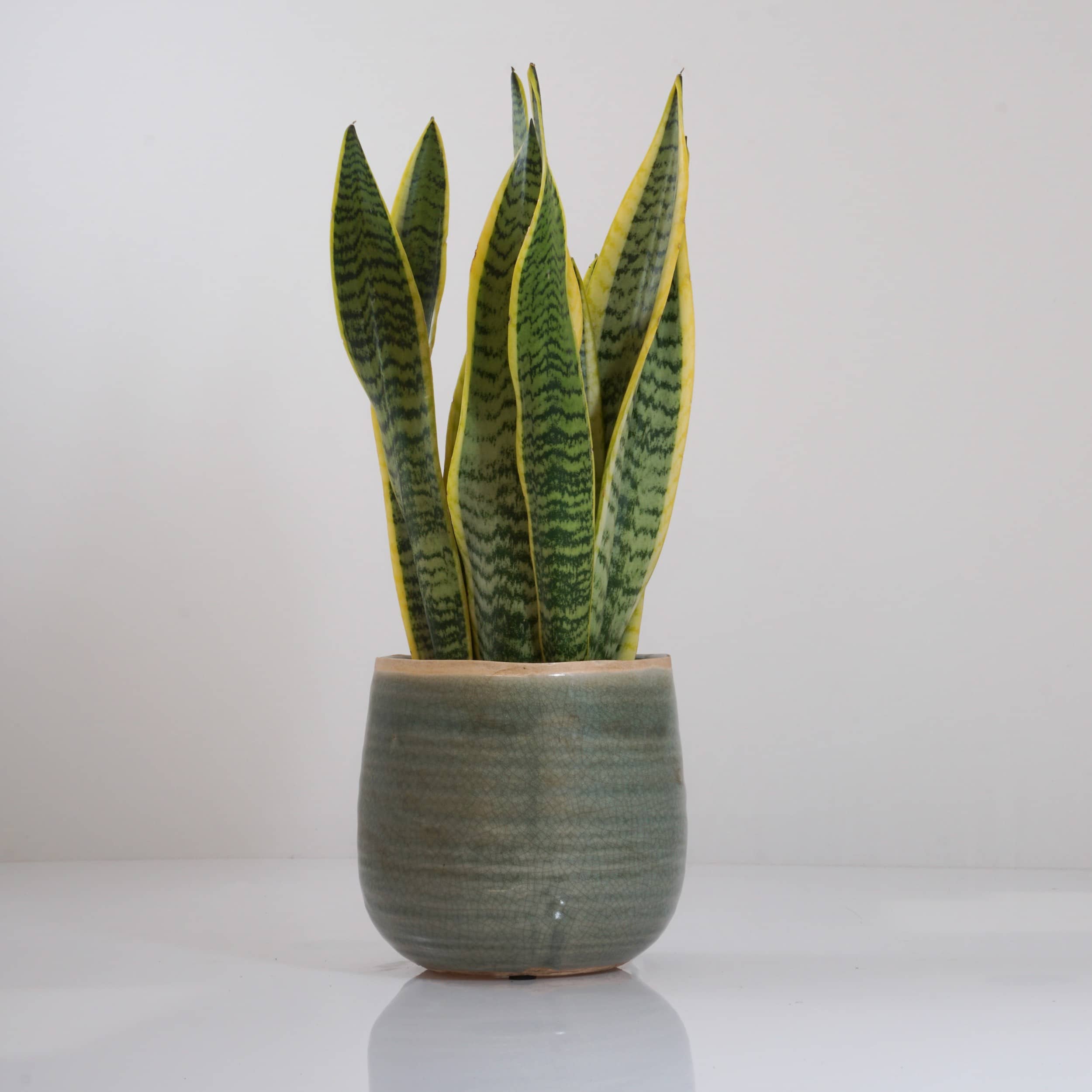 Keramik-Blumentopf Iris D14cm mint