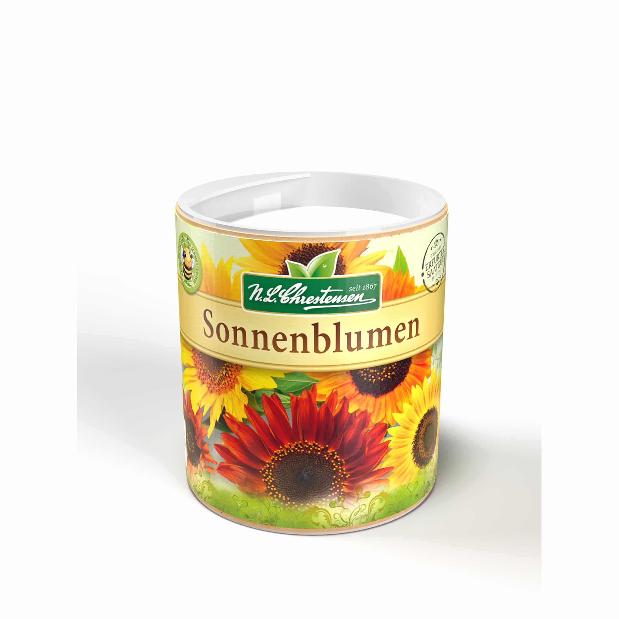 Dose | Sonnenblume uniflorus