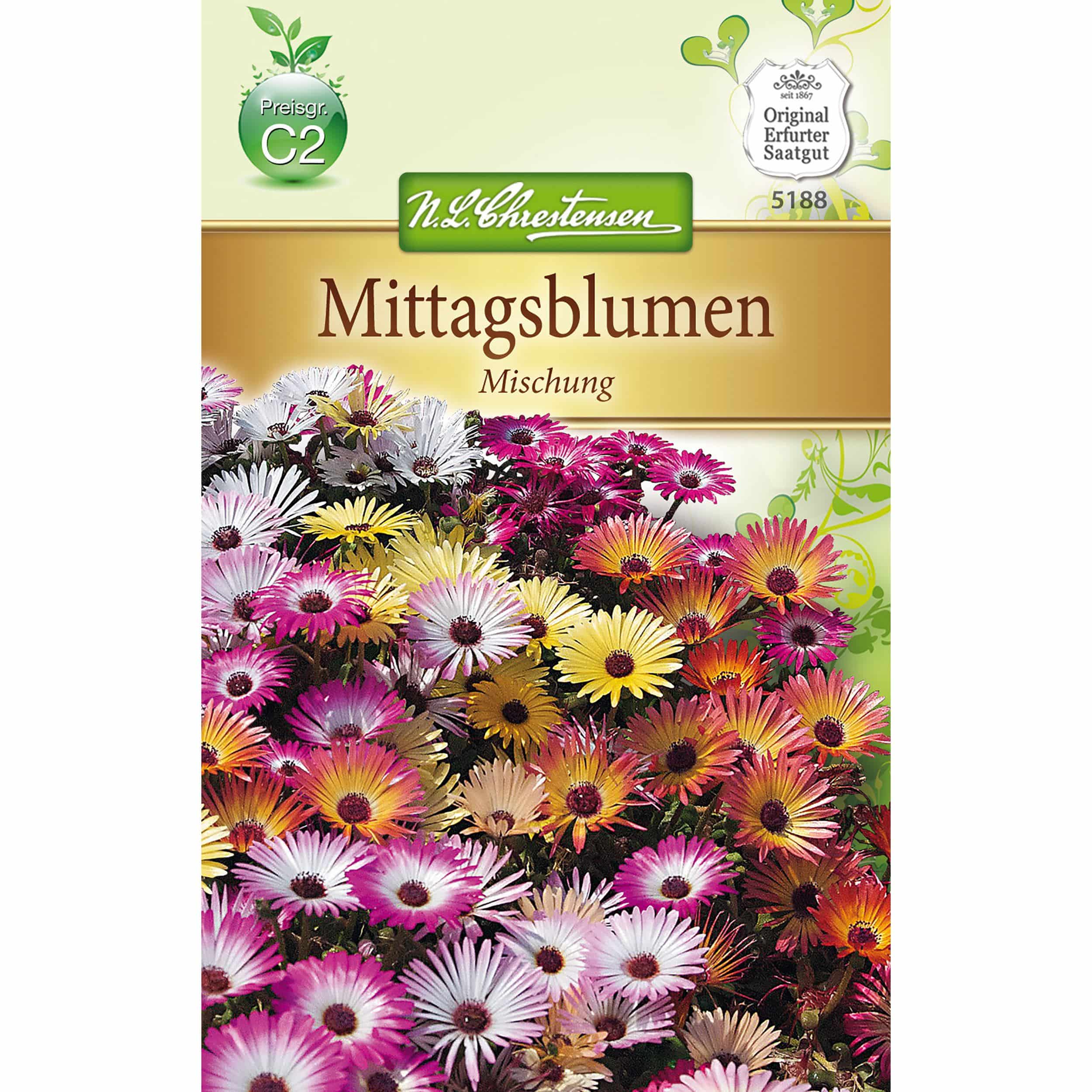 Mesembryanthemum Mittagsblume, Mischung