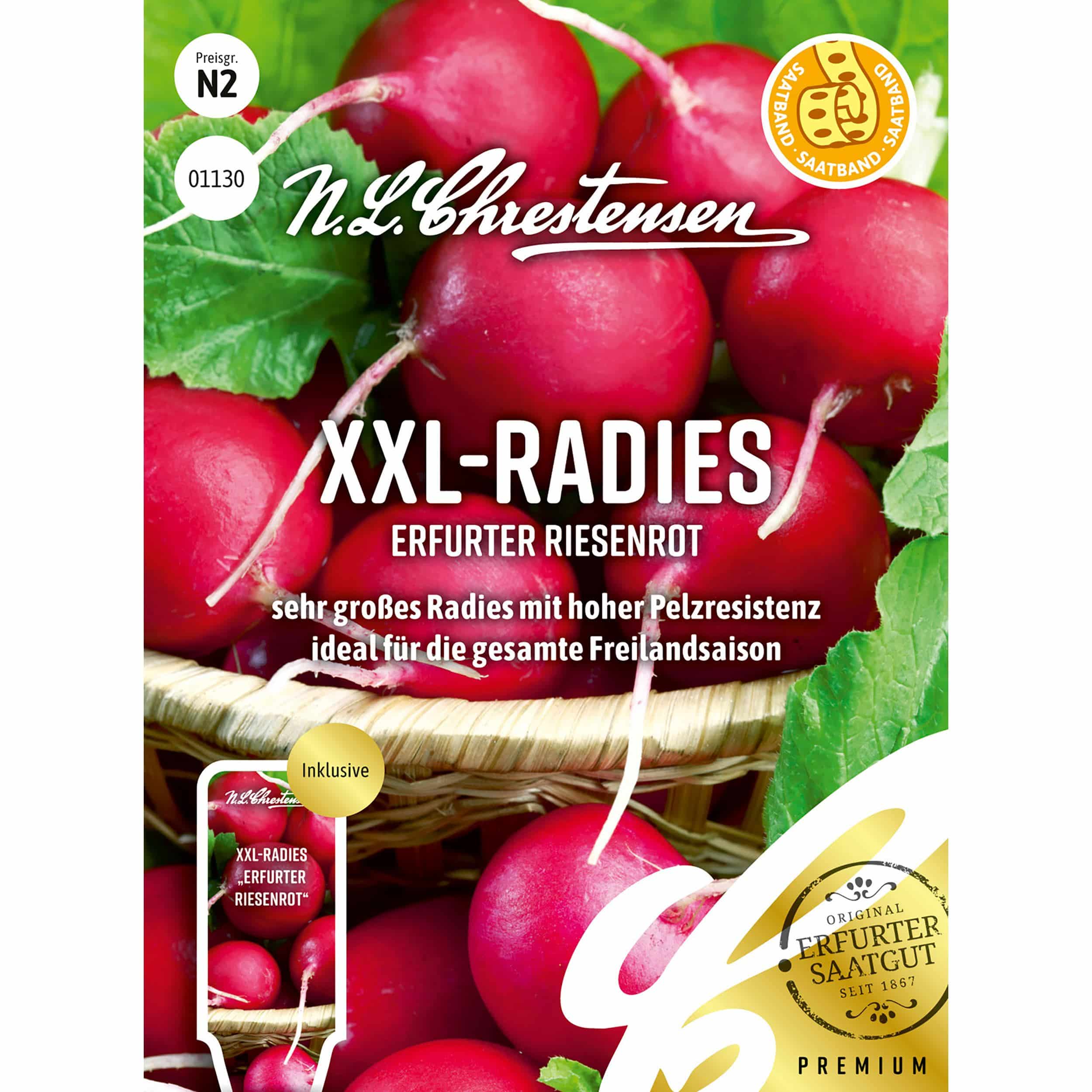 XXL-
Radies Erfurter Riesenrot