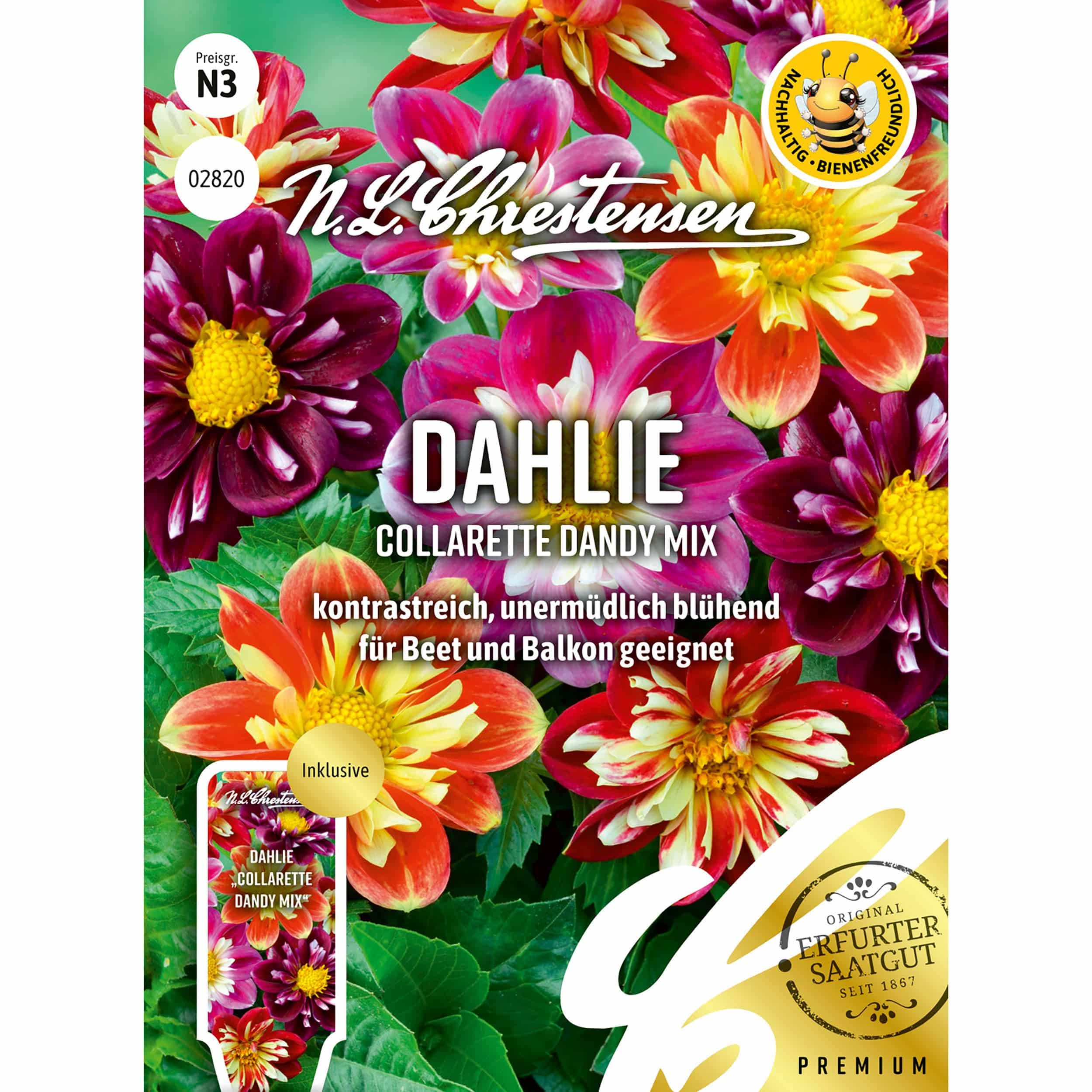 Dahlie Collarette Dandy Mix
