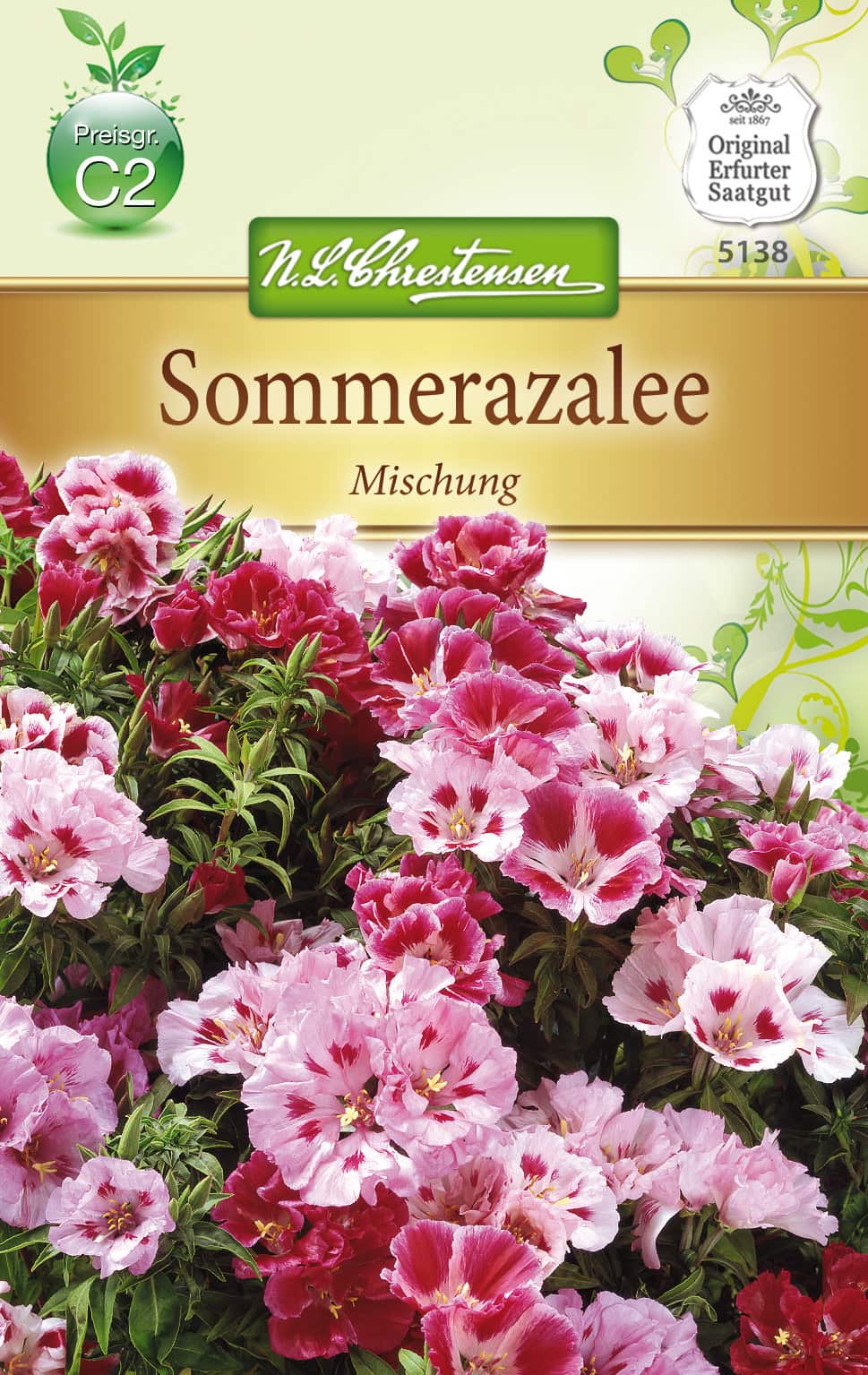 Sommerazalee - Godetia Mischung