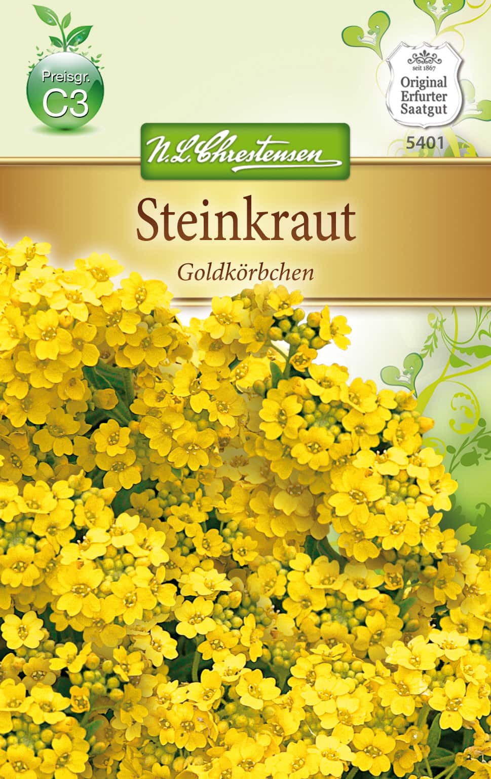 Alyssum saxatile Steinkraut, Goldköpchen