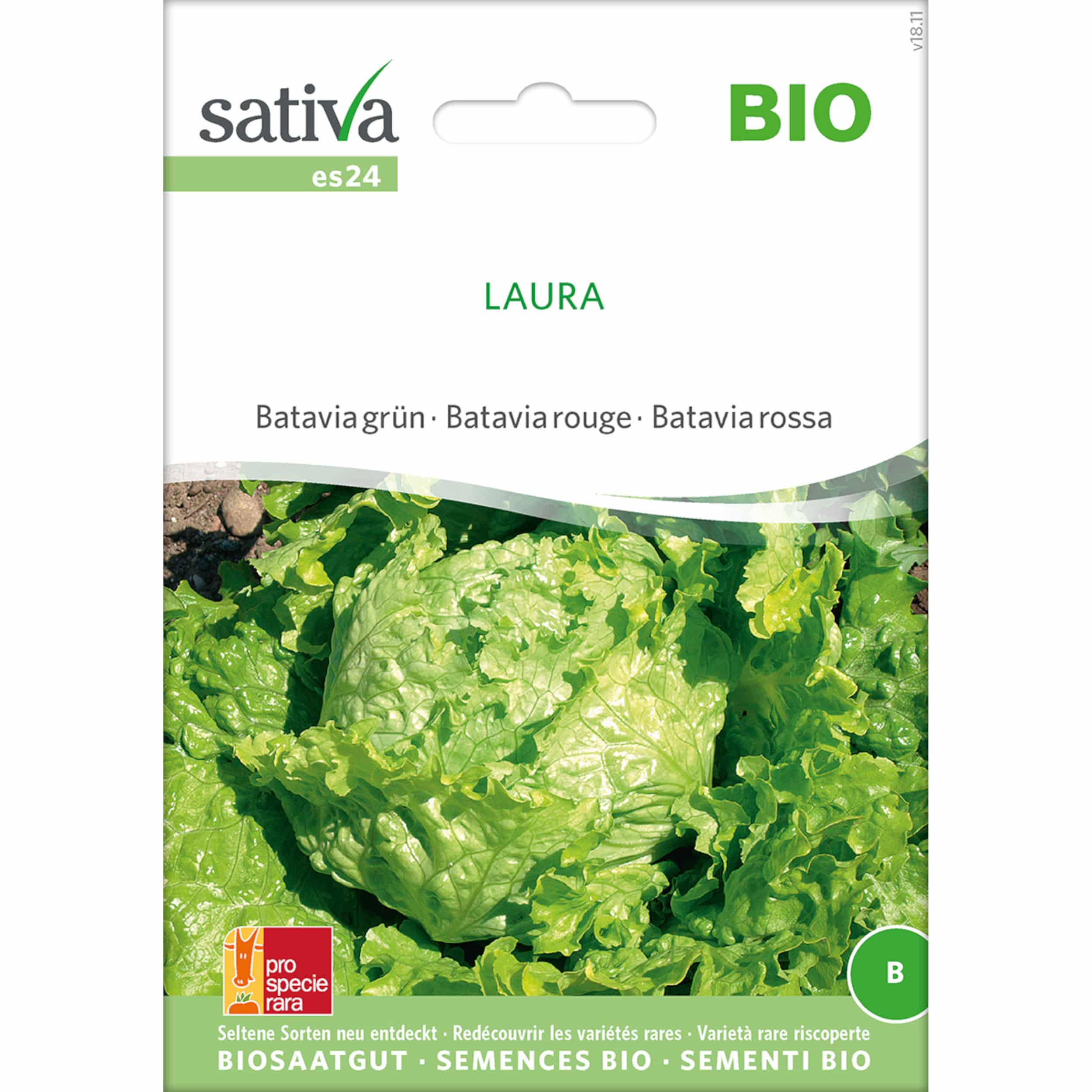 Saatgut Batavia grün LAURA