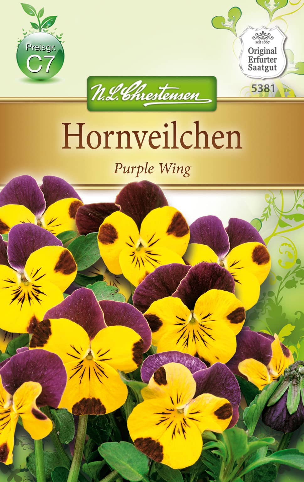 Viola cornuta Hornveilchen, Purple Wing