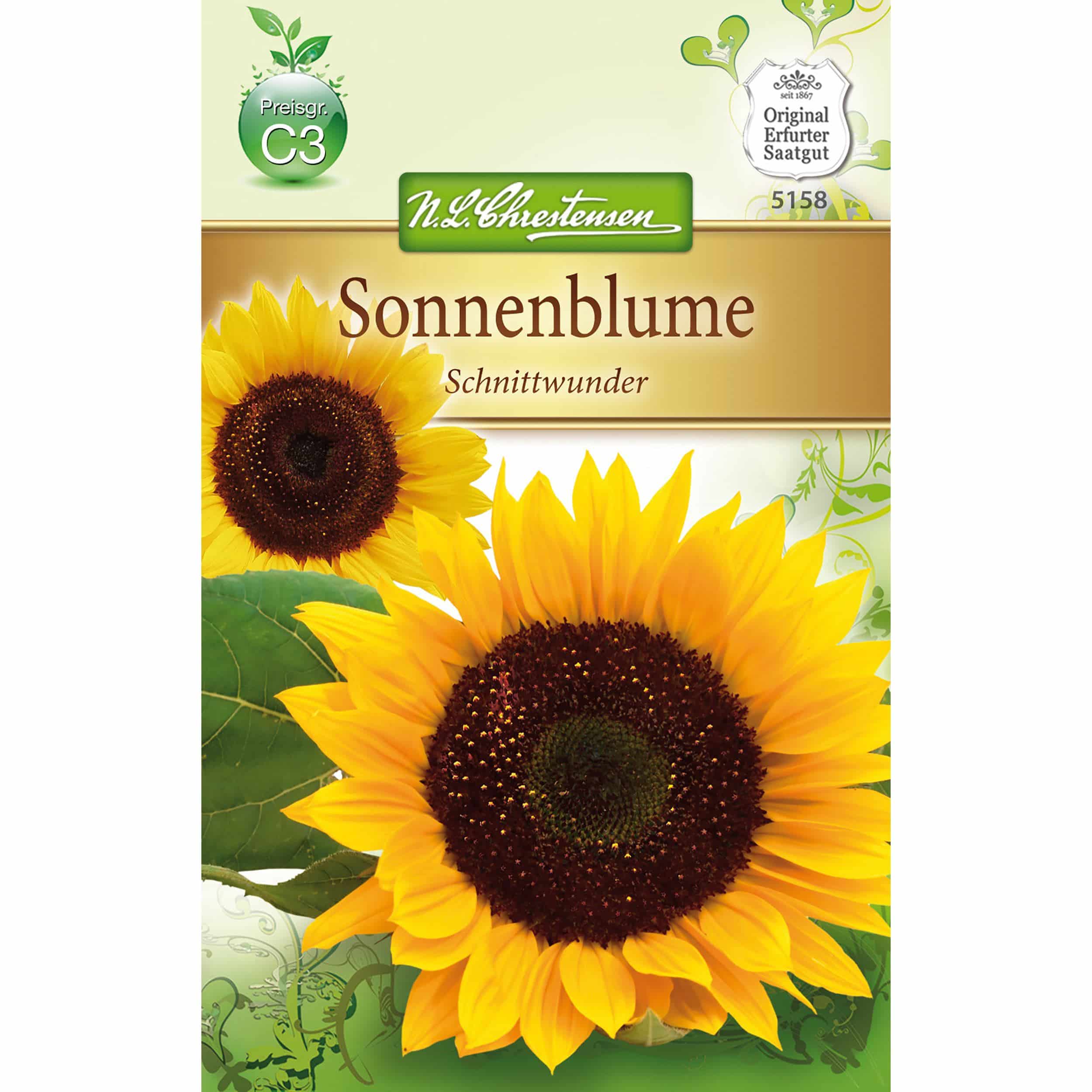 Helianthus Sonnenblume, Schnittwunder