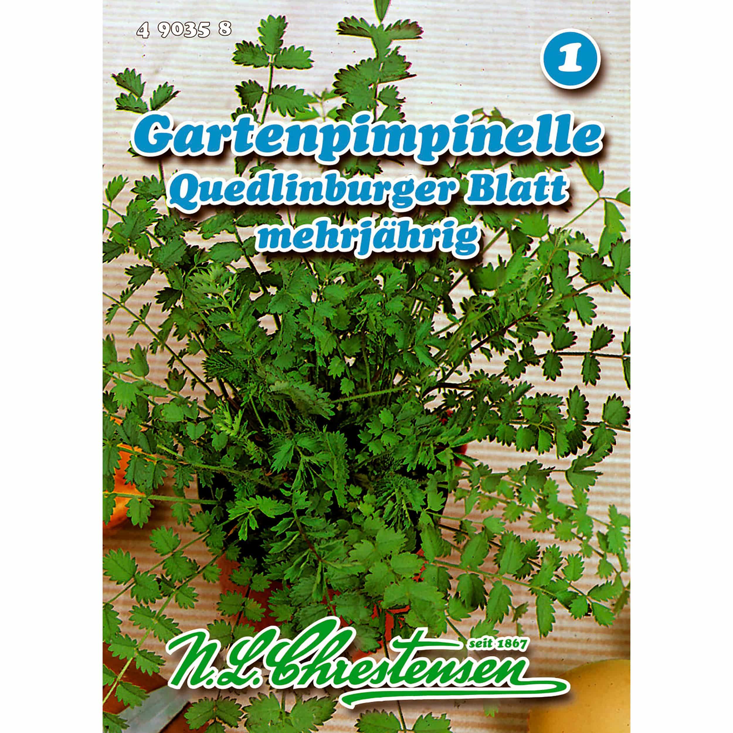 Gartenpimpinelle, Quedlinburger Blatt