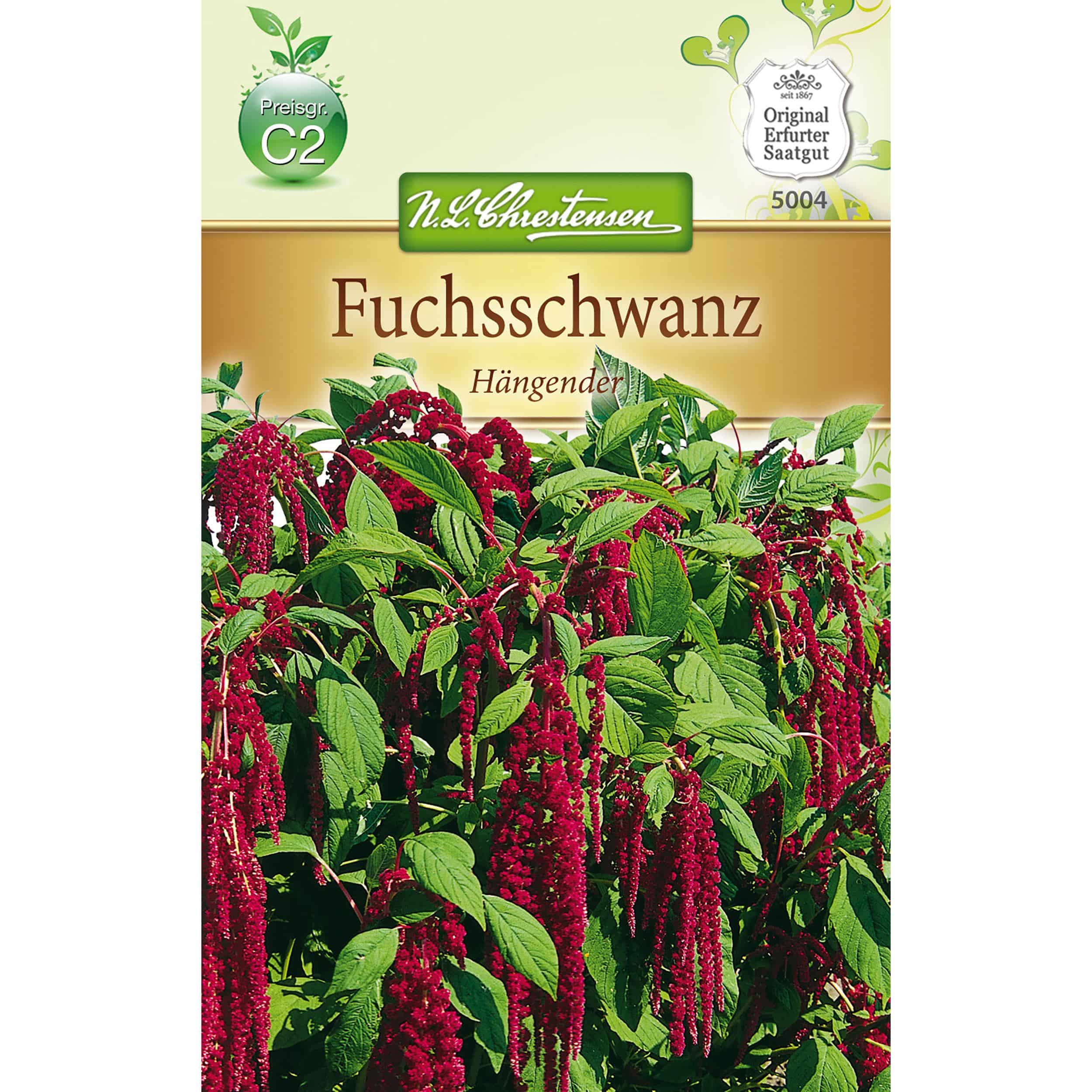 Amaranthus Fuchsschwanz, hängend, rot