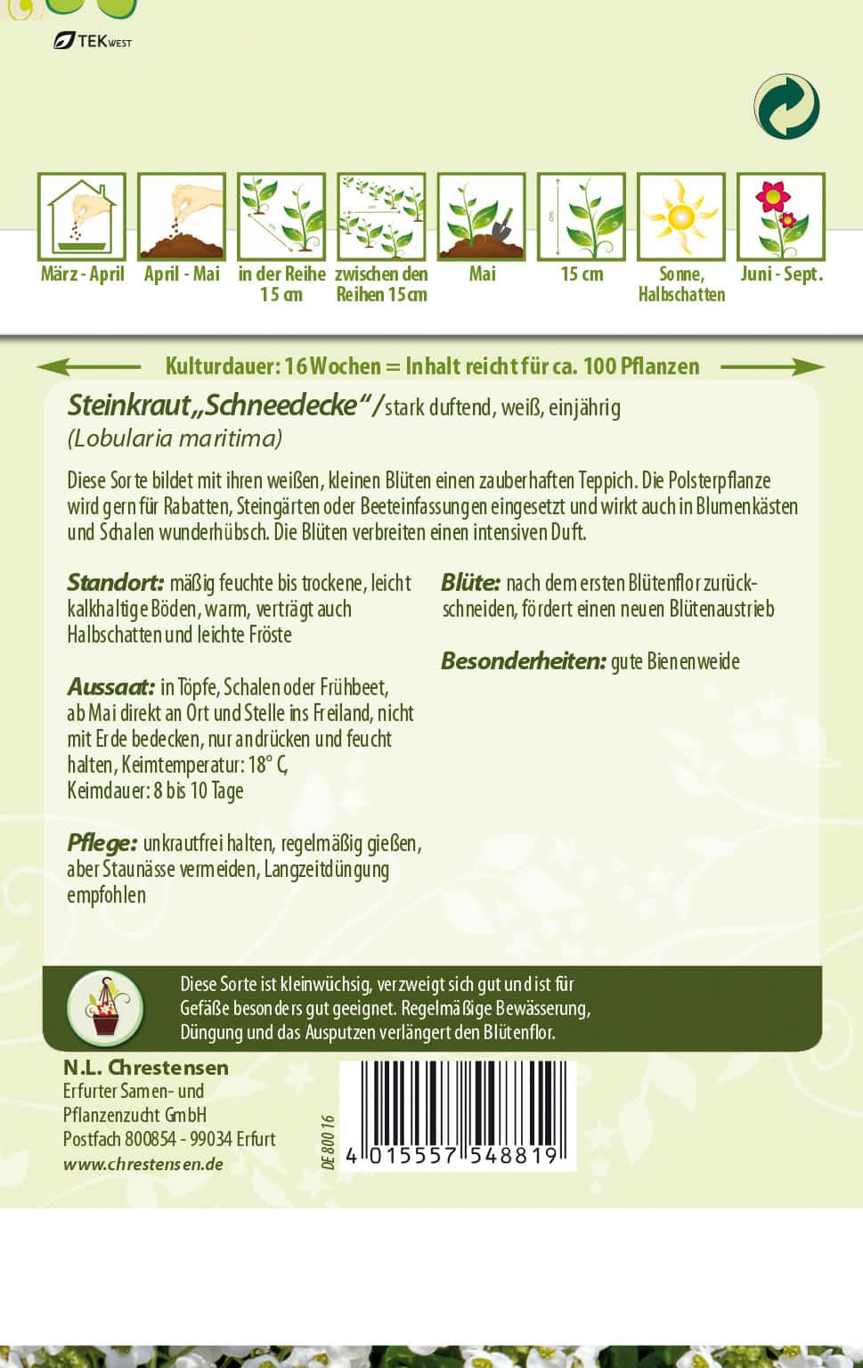 Lobularia Steinkraut Alyssum, Schneedecke, weiß