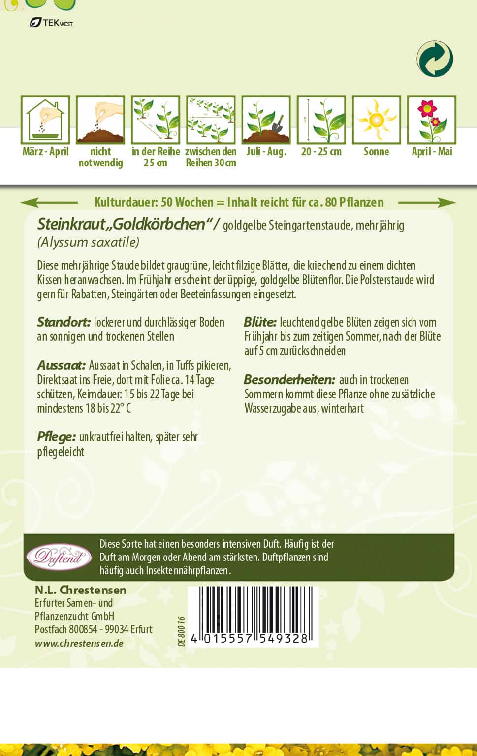 Alyssum saxatile Steinkraut, Goldköpchen