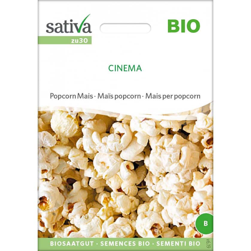 Saatgut Popcorn Mais CINEMA