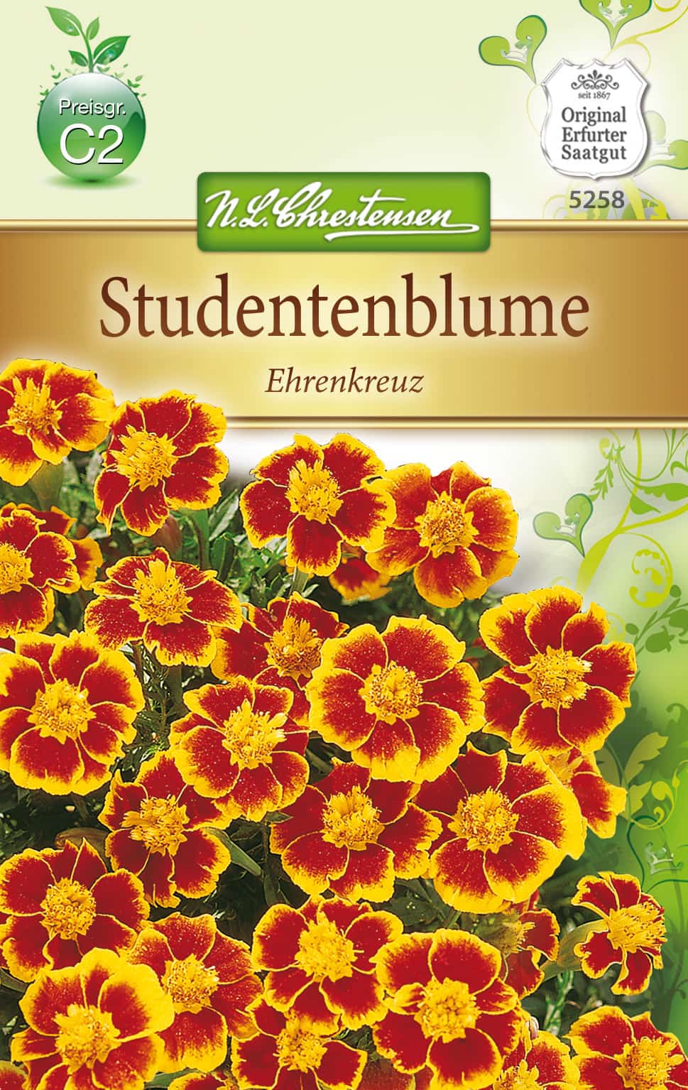 Tagetes patula Studentenblume - Ehrenkreuz, einfachblühend