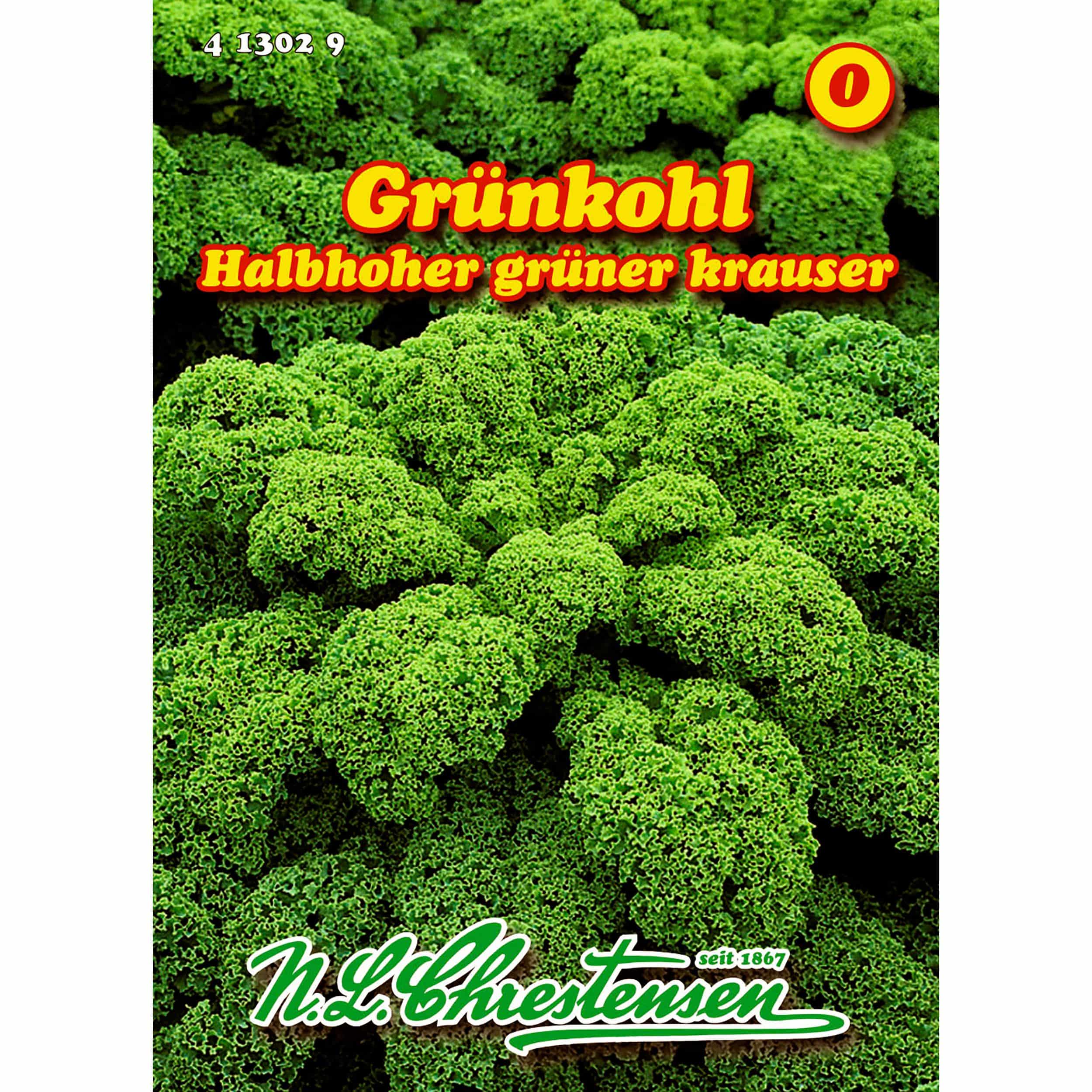 Grünkohl, Halbhoher grüner Krauser für ca. 150 Pflanzen