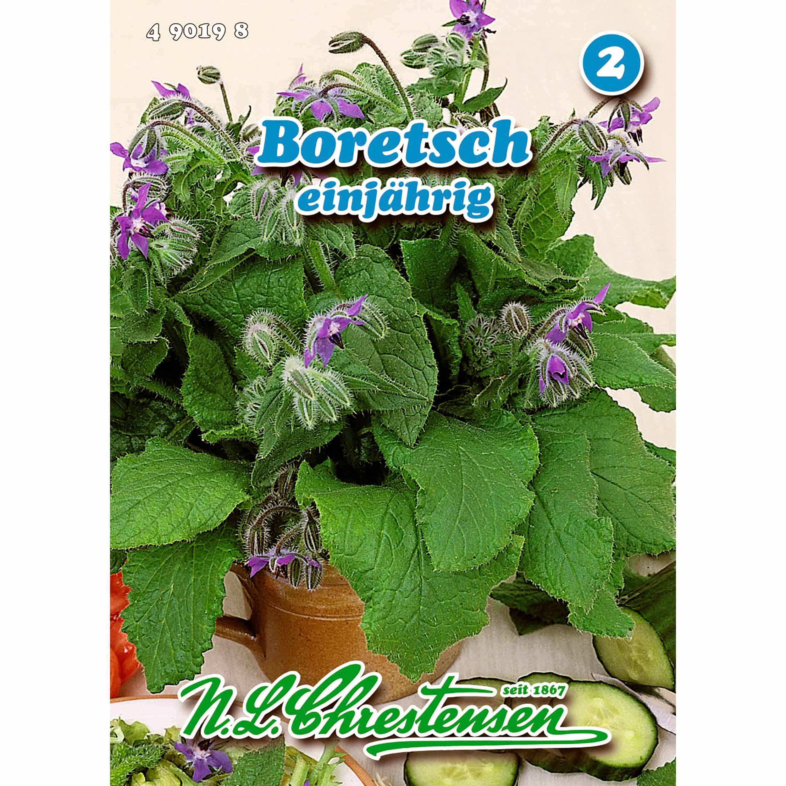 Boretsch
