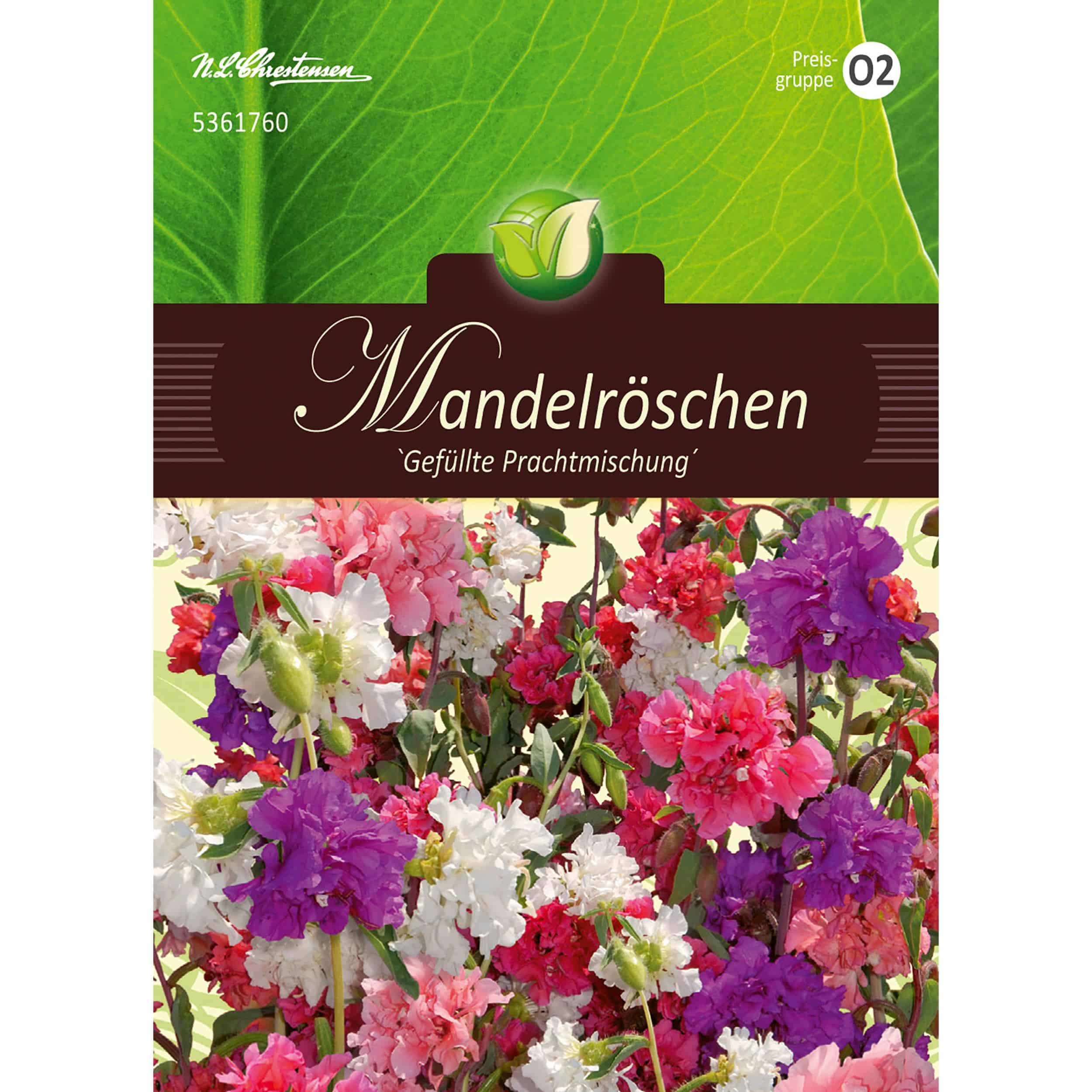 Clarkia, Mandelröschen, Mischung für ca. 90 Pflanzen