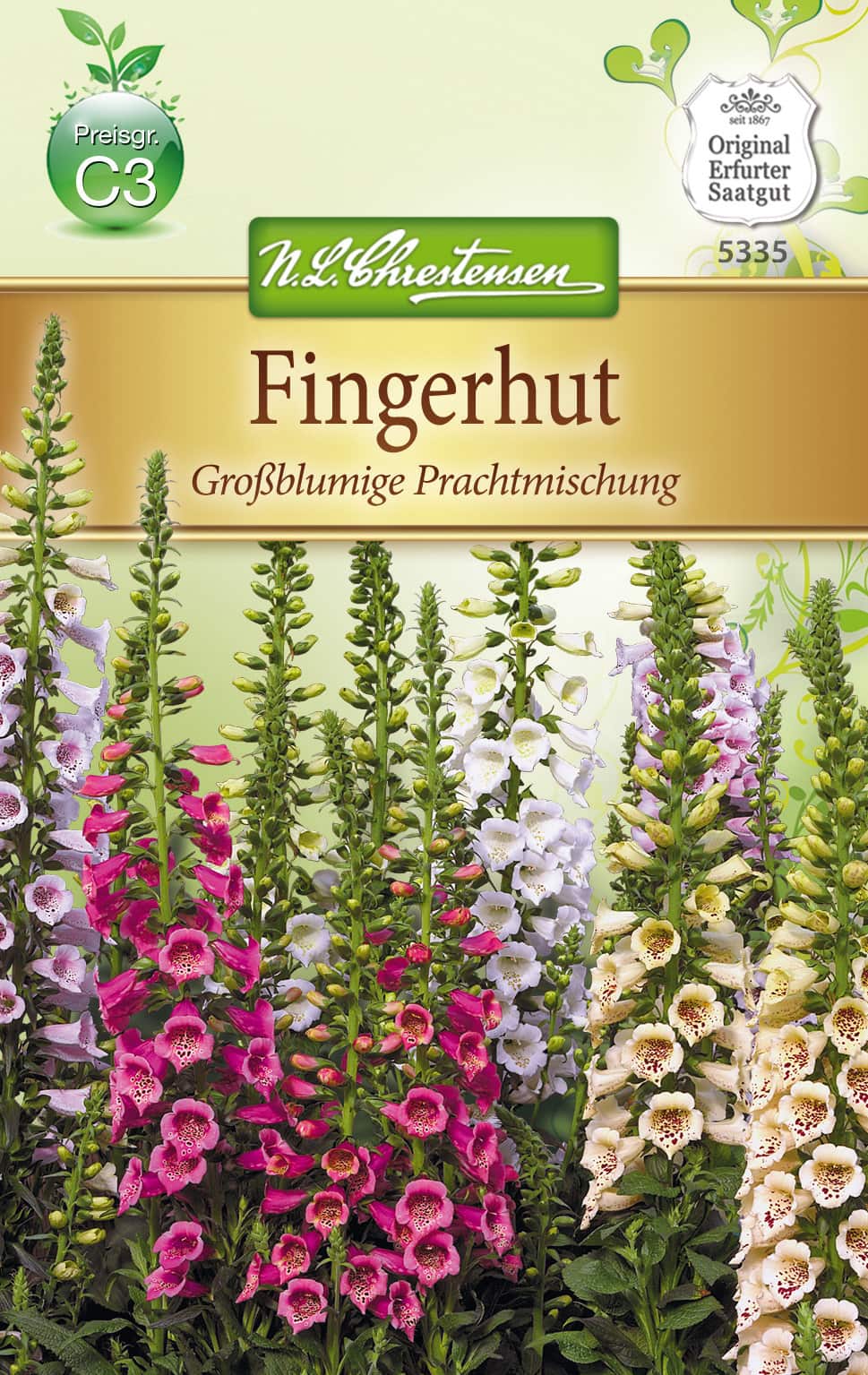 Digitalis Fingerhut, Großblumige Prachtmischung