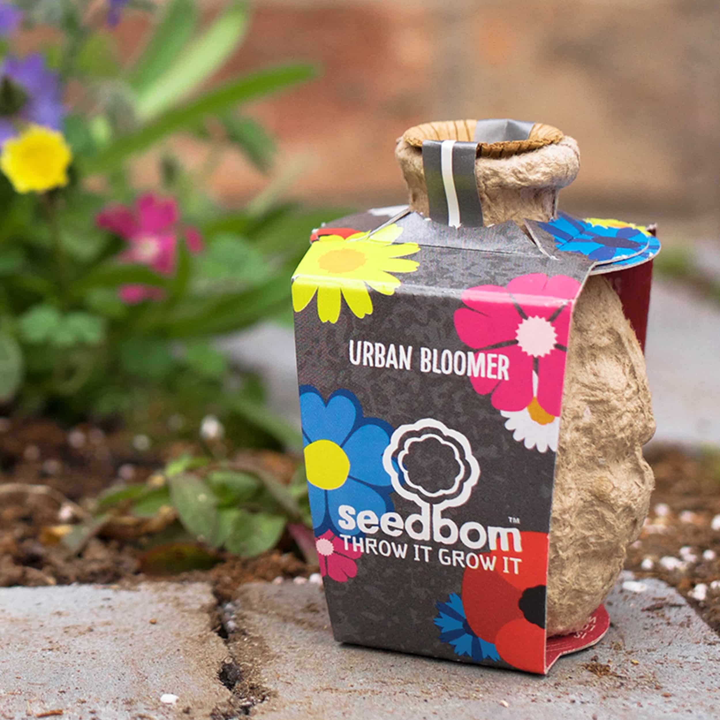 Samenbombe Urban Bloomer