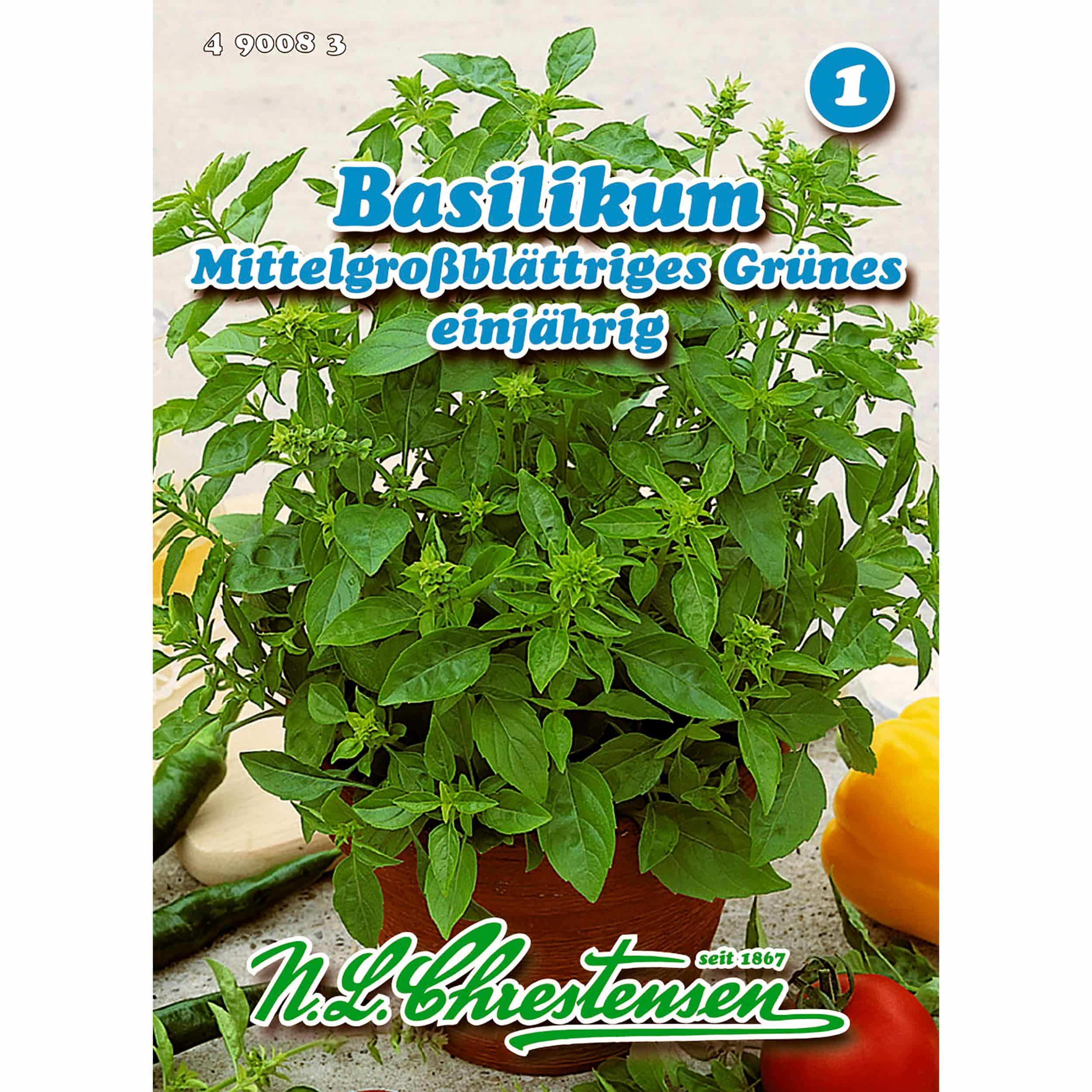 Basilikum, Mittelgroßblättriges Grünes für ca. 400 Pflanzen