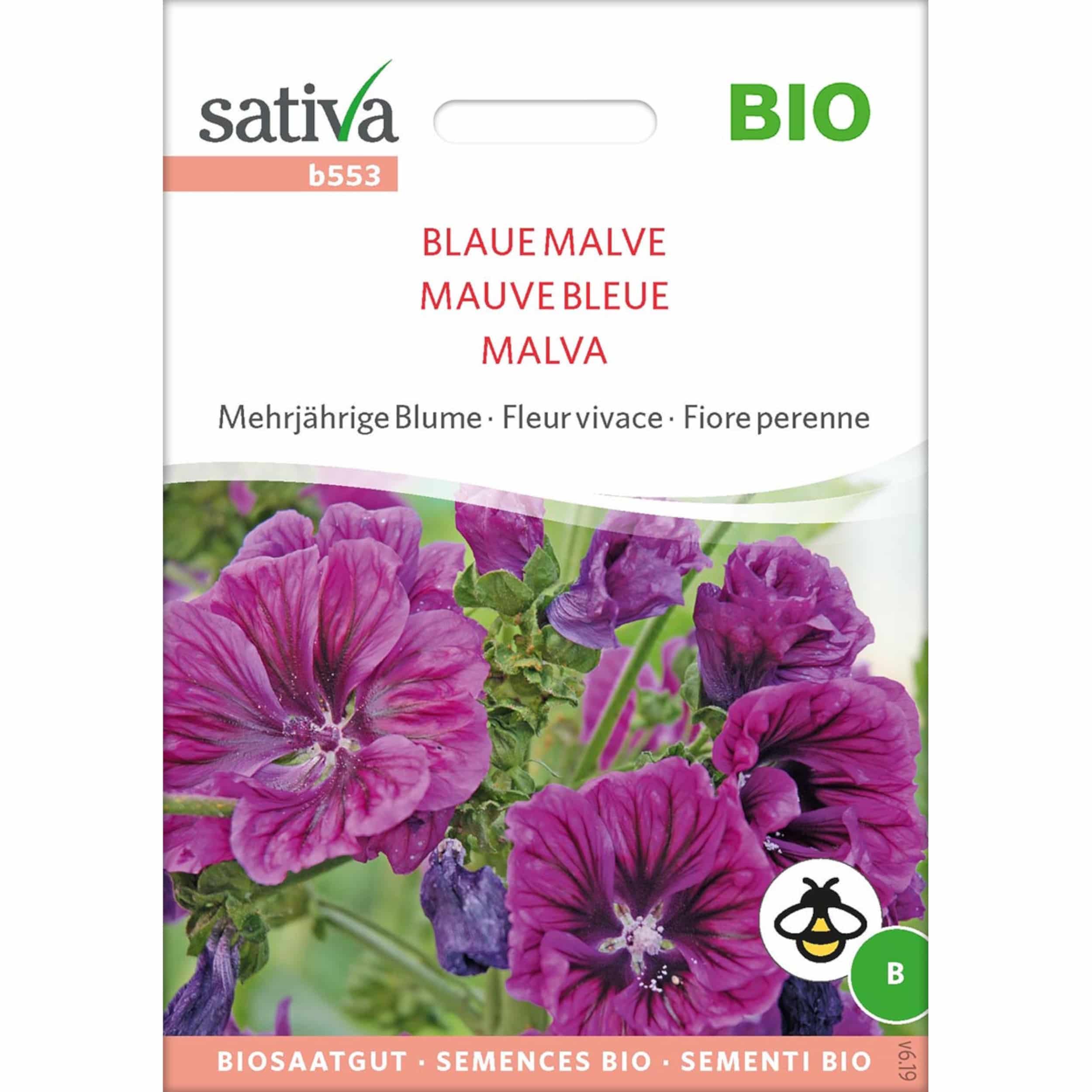 Saatgut Mehrjährige Blume BLAUE MALVE