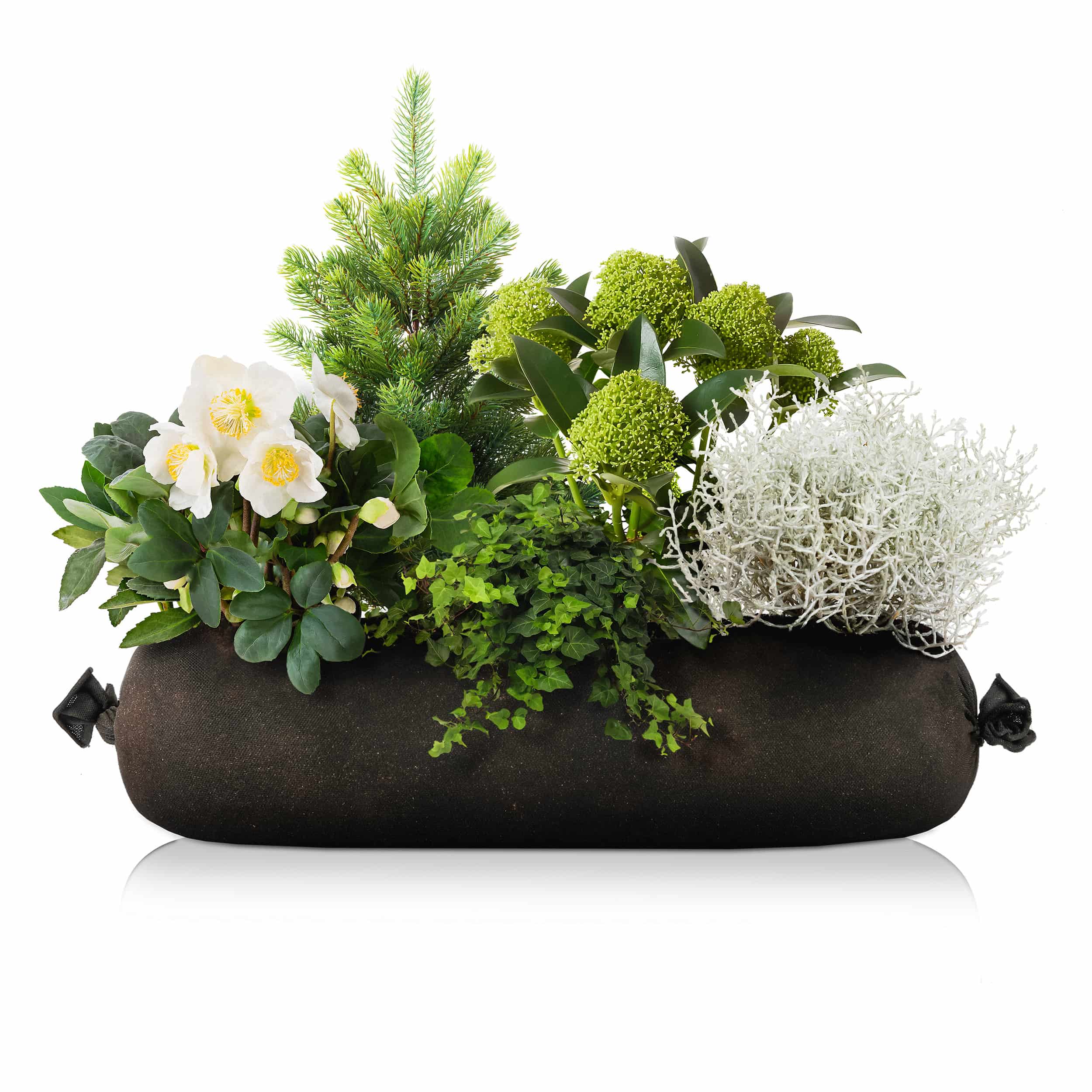 Winterblumen 'Winterwald' Bag 50 cm Sonne - Halbschatten
