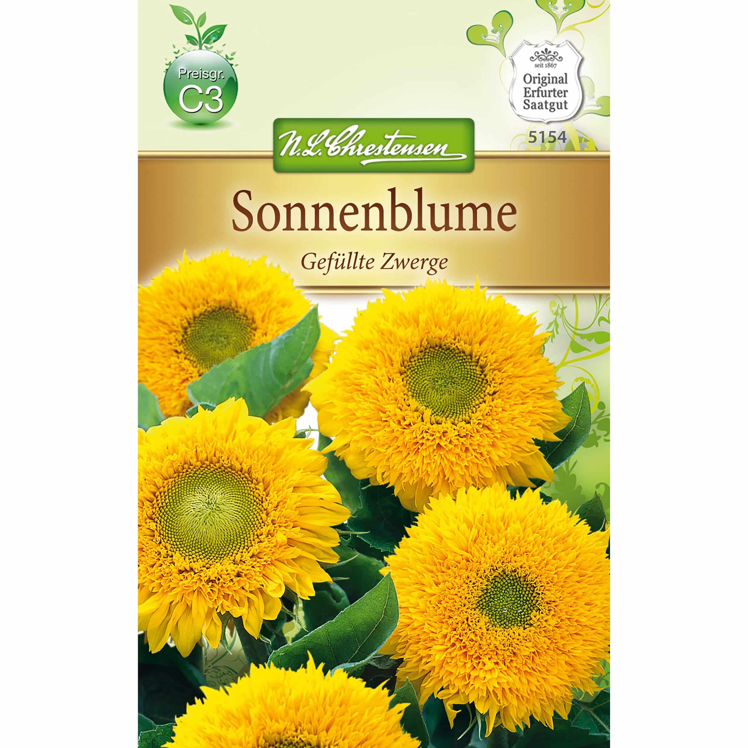 Helianthus Sonnenblume, Gefüllte Zwerge, gelb