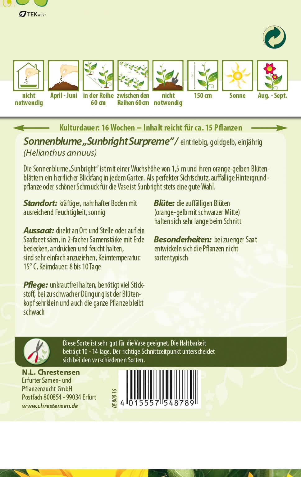 Helianthus Sonnenblume, Sunbright Supreme, für Schnitt